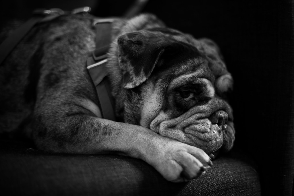 Why this Boring&nbsp;Rainbow?