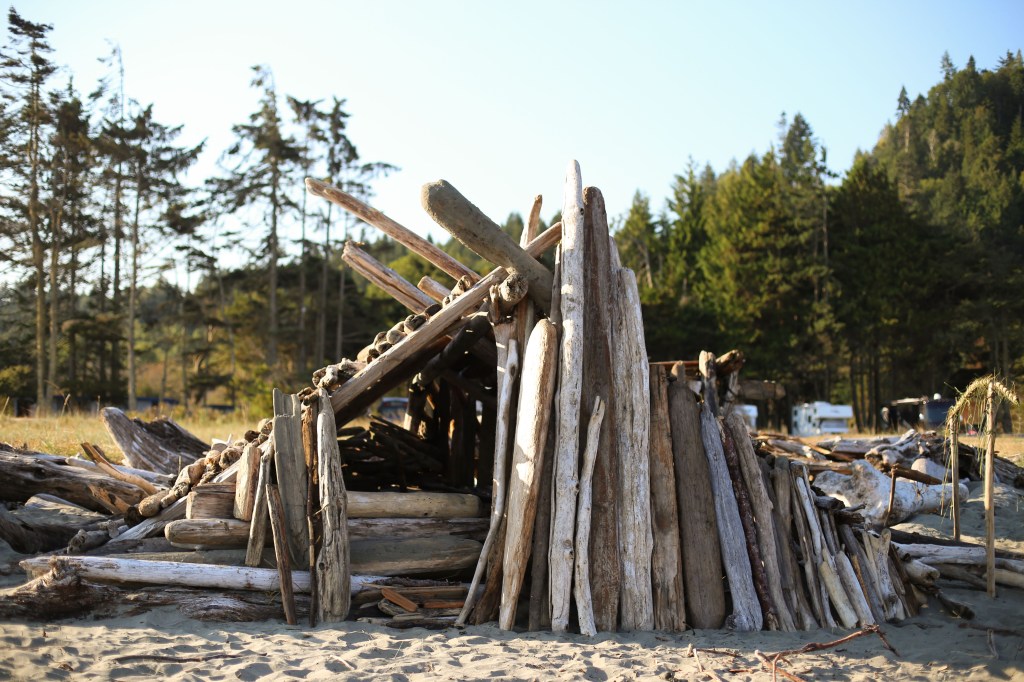 In the Wilds of Sand and&nbsp;Sea