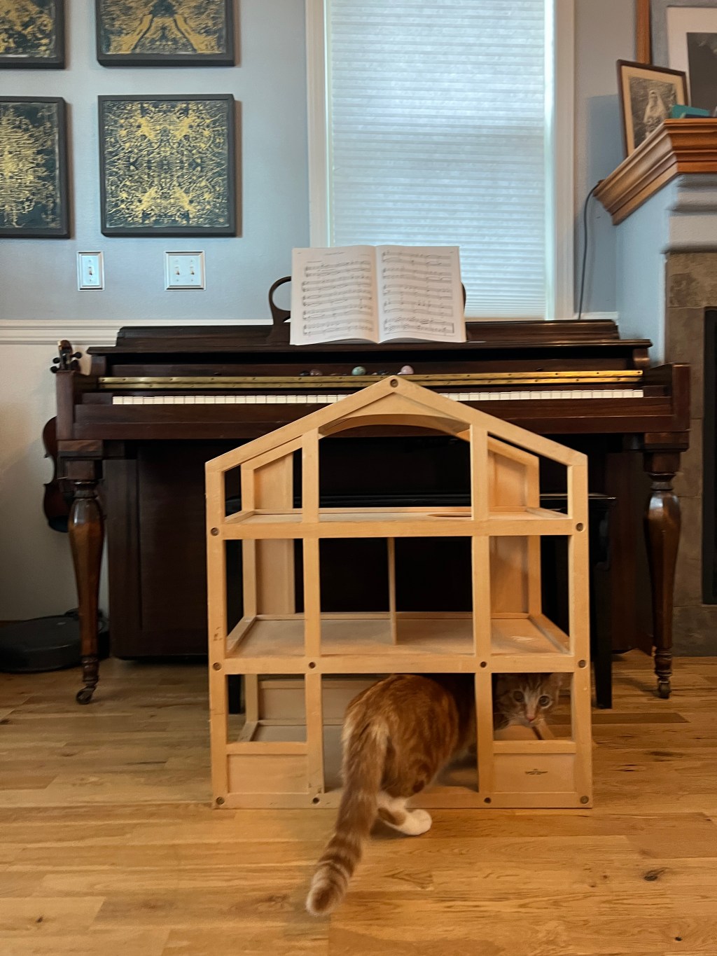 Tiny Birthday Transformation